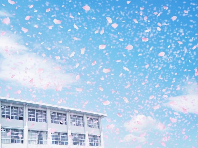 学校　桜.jpg