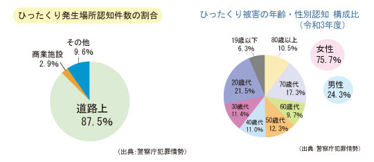ひったくり発生場所認知件数の割合グラフ