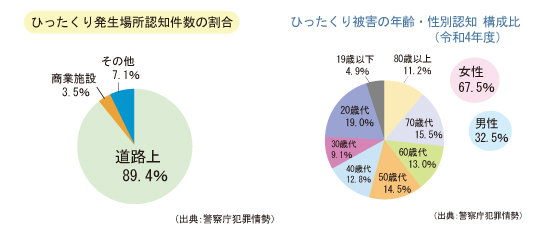 ひったくり発生場所認知件数の割合グラフ