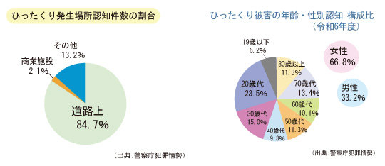 ひったくり発生場所認知件数の割合グラフ